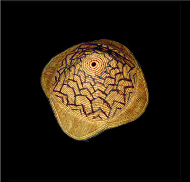 File:Hat kuba 01d.jpg