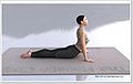 Thumbnail for version as of 16:02, 11 January 2010