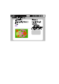Thumbnail for version as of 23:49, 11 June 2007
