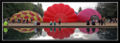 Thumbnail for version as of 15:10, 14 April 2008