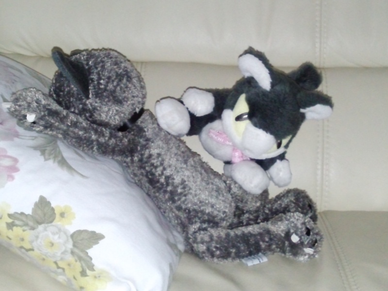 File:Cat with power.jpg