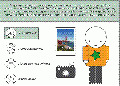 Thumbnail for version as of 01:23, 13 April 2009