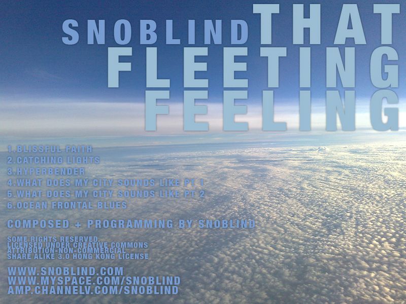 File:That Fleeting Feeling Cover.jpg