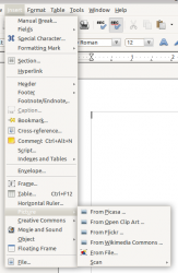 Insert Image Menu