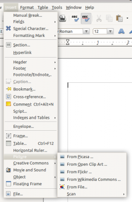 Insert Image Menu